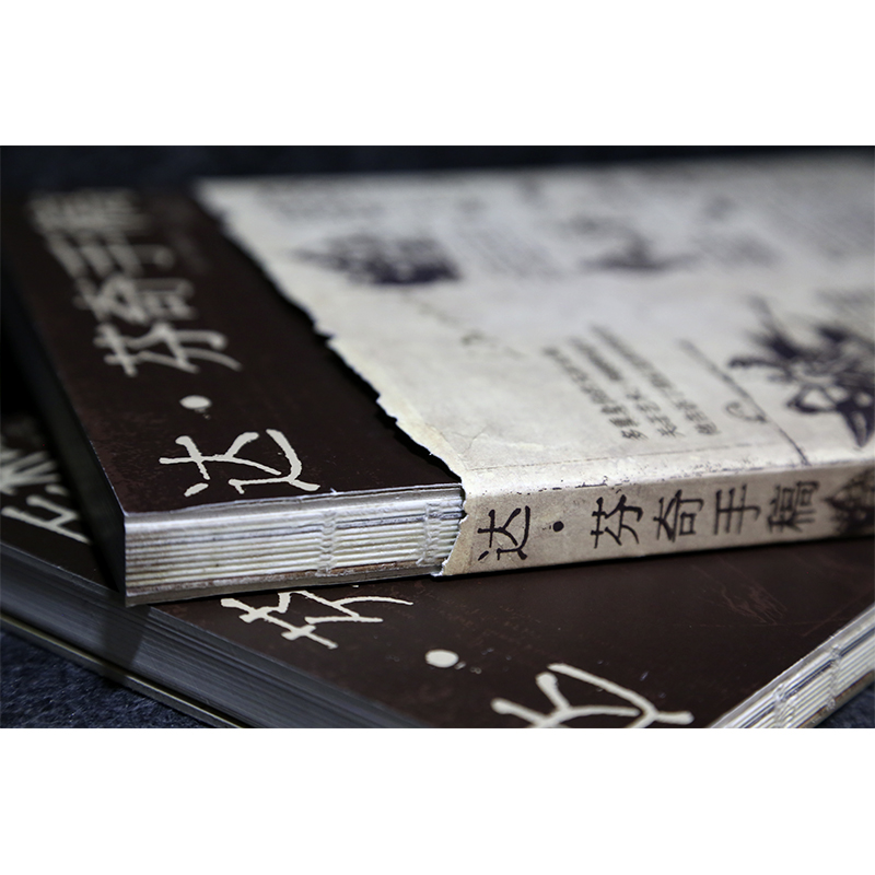 [醉染正版]正版 达·芬奇手稿 (意)列奥纳多·达·芬奇著 郑勤砚译 素描技术图纸 天文研究信件建筑解剖学绘画 达芬高清大图