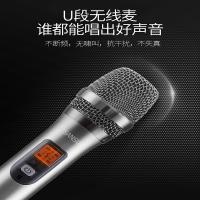 山水SP2-10家庭ktv音响套装工程单专用勿拍