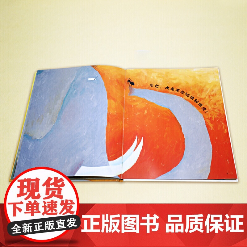 正版童书 大象在哪儿拉便便?高清大图