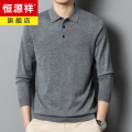 恒源祥中年长袖t恤男春秋薄款含羊毛针织衫爸爸装毛衣打底polo衫 165/M 新中灰