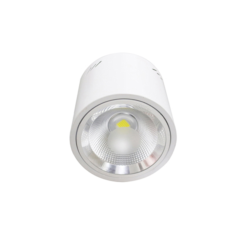 众朗星 ZL8855 LED站台灯 30W LED光源高清大图