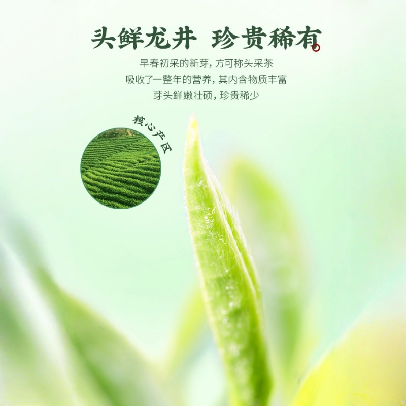 2025新茶狮峰牌头采手工高山明前特级龙井茶叶礼盒装绿茶200g送礼高清大图