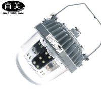 尚关(SHANGGUAN) 泛光平台灯SQ-Z24 AC220V LED 60W
