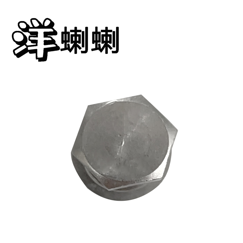洋蝲蝲 穿钉带帽 M16×250mm 单位:套高清大图