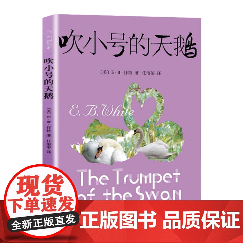 吹小号的天鹅(新)高清大图
