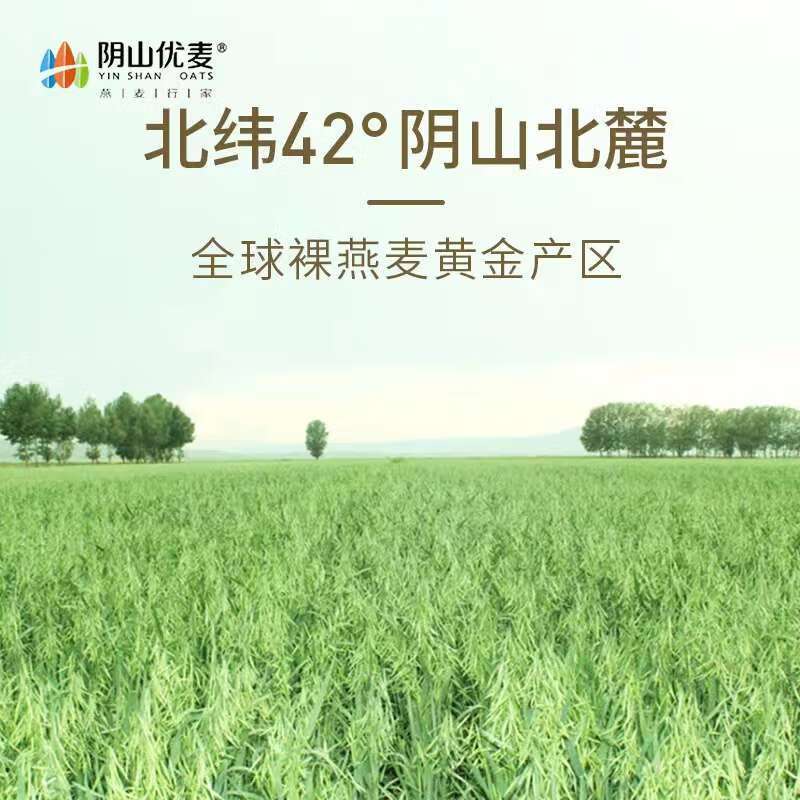 阴山优麦(YIN SHAN OATS)元气早餐燕麦粥礼盒 1.05kg/盒 燕麦片礼物图片