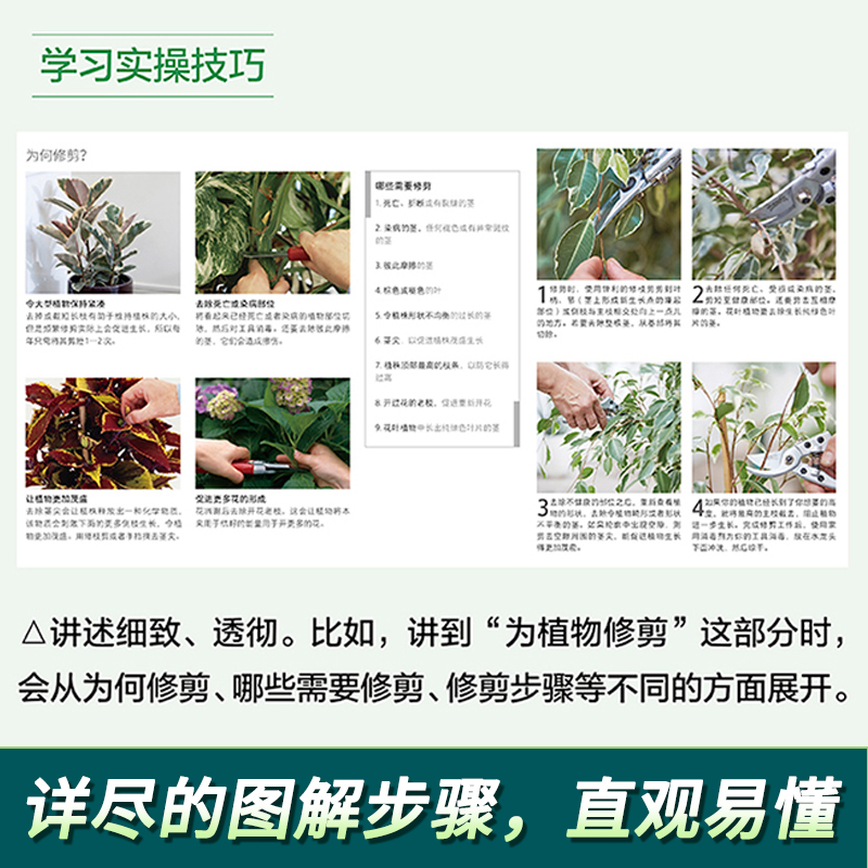 [正版]DK英国皇家园艺学会 家居植物实用百科 家庭园艺实用宝典 在屋内实现花园梦 家庭园艺一本通 养护技能陈设技巧植物高清大图