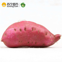 展卉 海南澄迈桥头富硒地瓜 2.5kg装 新鲜蔬菜