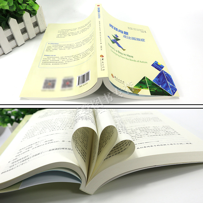 [正版] 男孩肖恩 走出孤独症 心理学书籍 特殊教育 孤独症儿童 自闭症儿童家庭早期 康复医学书籍 华夏出版社 书籍高清大图