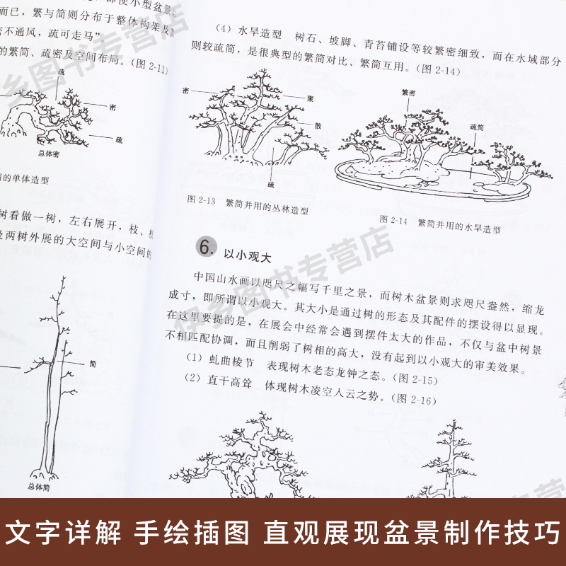 [醉染正版]图解树木盆景制作与养护 养花书籍树木盆景盆栽制作教程书盆景书盆景造型制作书籍家庭园艺种花书家庭休闲种植养高清大图