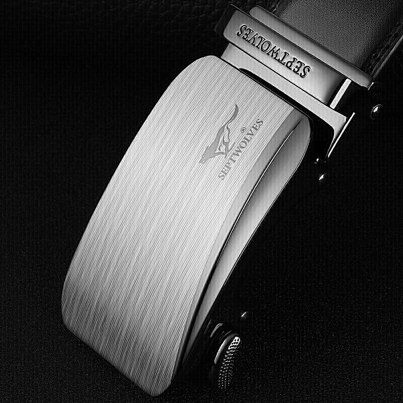 七匹狼(SEPTWOLVES)腰带M73821A341-01高清大图