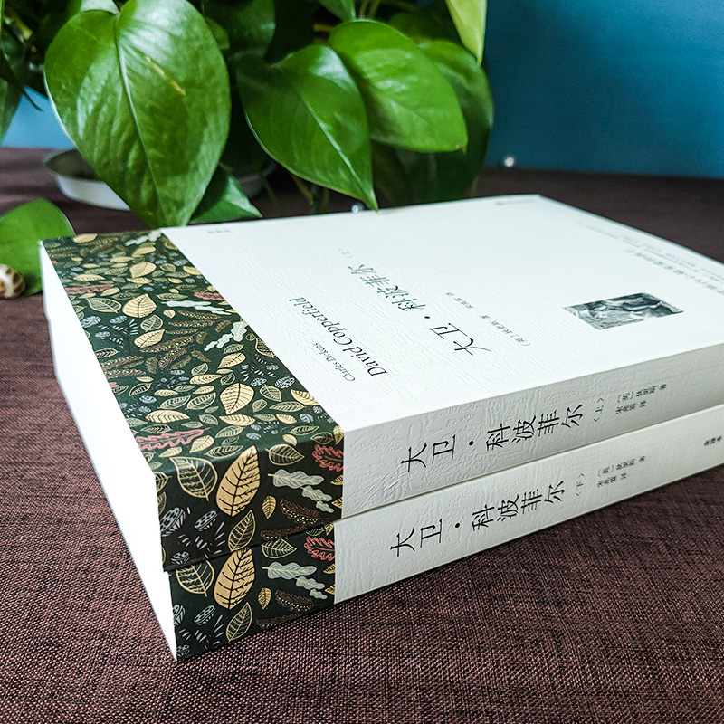 【M】大卫·科波菲尔 全译本平装版(全2册)-9787519004682