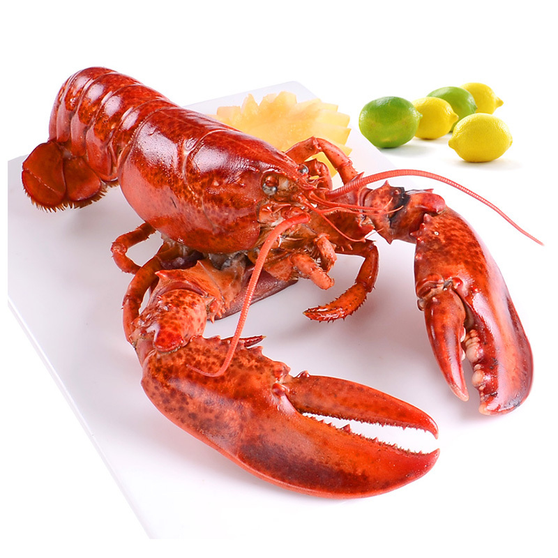 渔鲜世海波士顿龙虾350g盒甄选加拿大优质龙虾