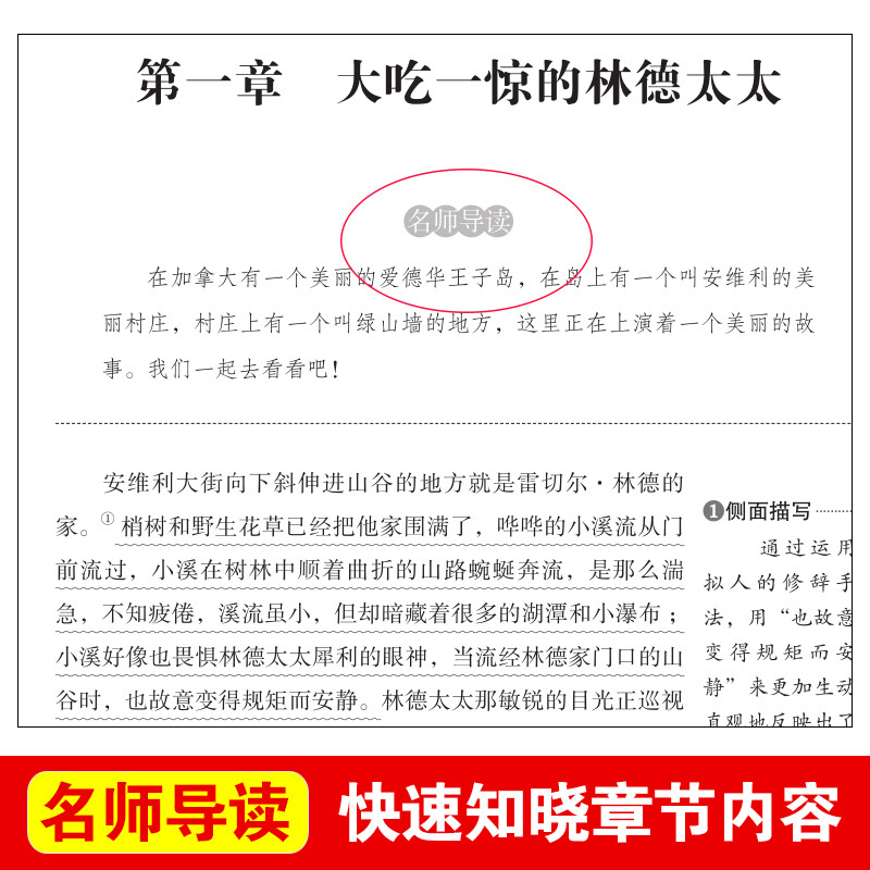 [正版]绿山墙的安妮 爱不释手的儿童成长故事 儿童文学经典书系 小学生阅读书目 青少年课外文学阅读书籍 青少年校园成长高清大图