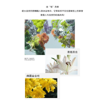诗丹柔SETERRON 典藏香氛润肤精油皂-百合与金合欢128g