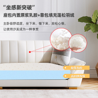 冬熊布艺沙发科技布客厅高档侘寂风北欧轻奢现代简约网红设计师