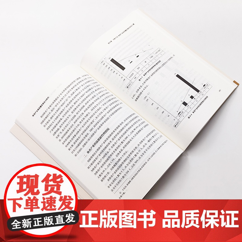 体育产业高质量发展动力研究 王先亮著 人民出版社高清大图