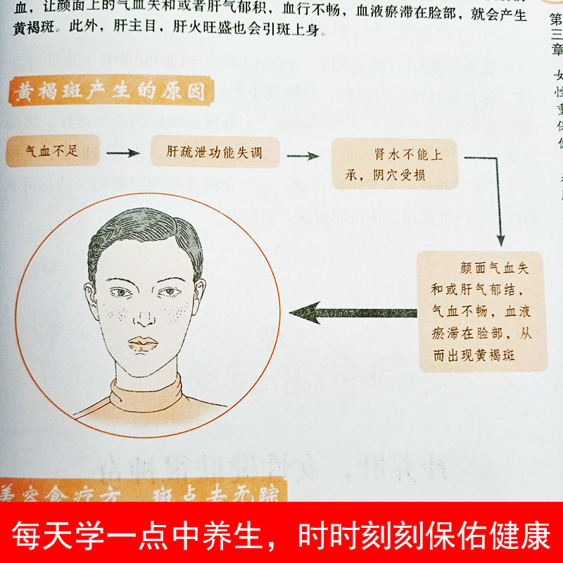 [醉染正版]图解养肝速查手册黄帝内经四季养生法中医养生书籍大全中医正版按摩书 经络 推拿零基础学会经络穴位按摩大全穴位书高清大图