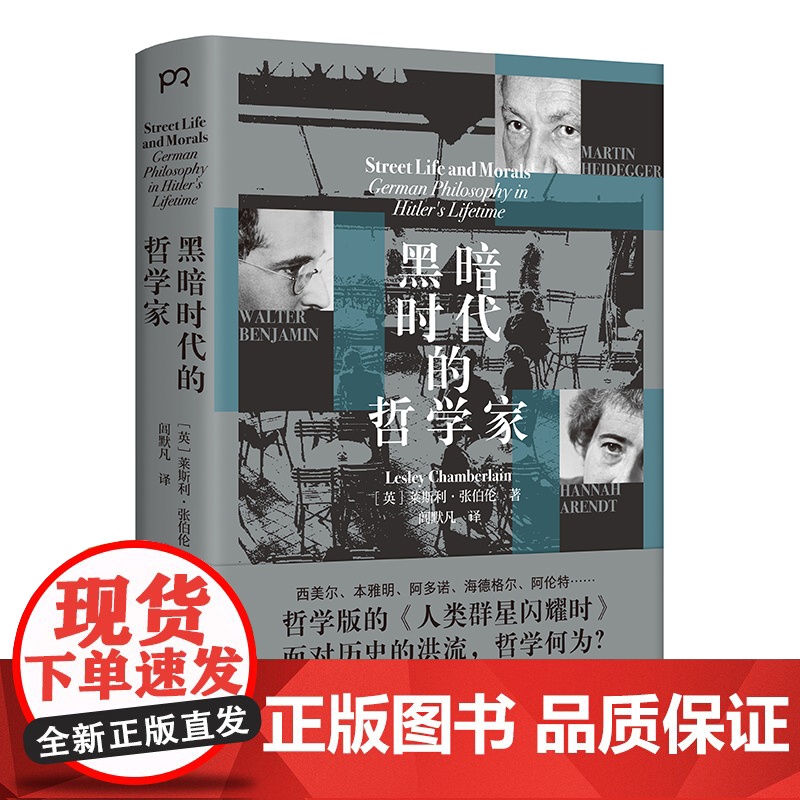 黑暗时代的哲学家 莱斯利·张伯伦 希特勒时期德国哲学与政治紧张关系的深刻解读高清大图