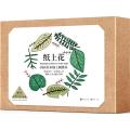 纸上花(国内第一本在纸上刺绣的创意书/一本艺术性与功能性并存的亲子互动书/刺绣上色涂鸦简易DIY)