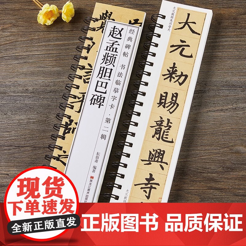 赵孟頫胆巴碑 原帖楷书毛笔书法字帖经典碑帖临摹字卡赵孟俯赵体近距离对临入门附简体旁注高清大图
