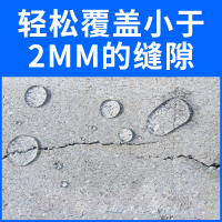 纽盾 （NEW DON)德国纽盾防水剂渗透型卫生间阳台外墙屋顶防水补漏材料堵漏王防水涂料