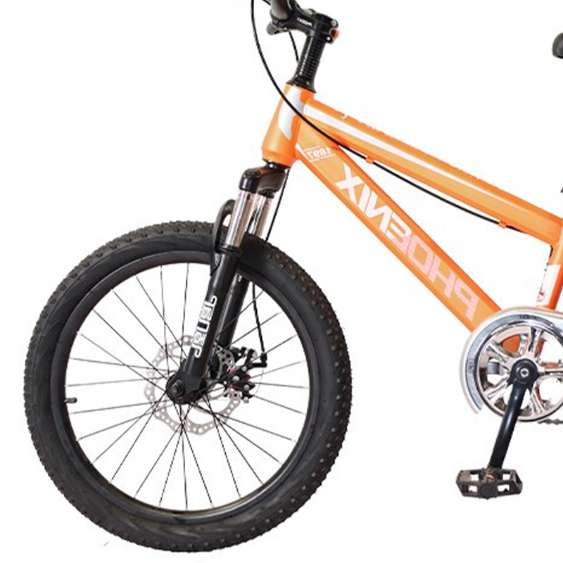 凤凰(PHOENIX) 20寸学生自行车-贝塔 TT-20 (辐条轮)橘高清大图