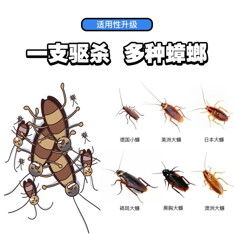 超威杀蟑胶饵10g快速引诱驱杀多种蟑螂高清大图