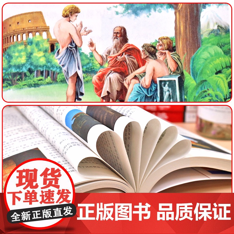 数学家的故事 小学生一二三四年级必读课外阅读书籍 彩插珍藏版名人故事 6-9-12岁青少年版科学家传记 小数学家应该知道高清大图