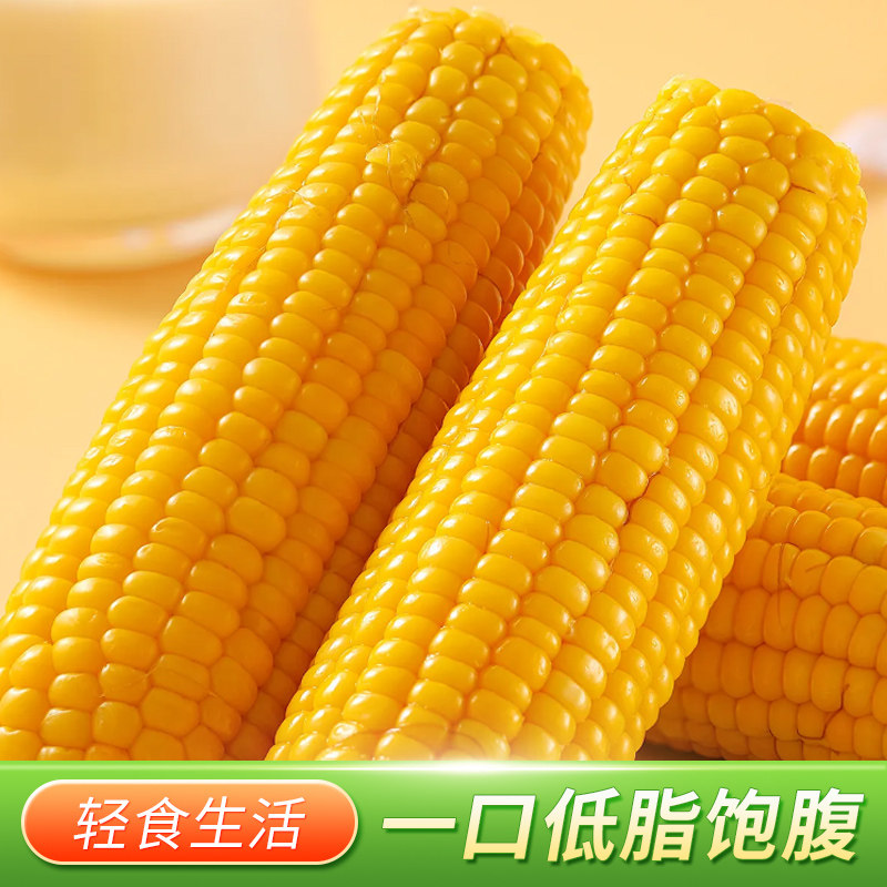 【西沛生鲜】东北糯玉米 10根 单根200-220g