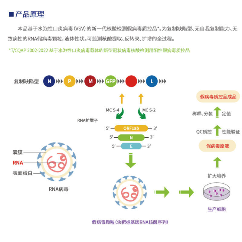 睿丰康 新型冠状病毒(2019-nCov)核酸检测质控品S3(单位:1ml/支)