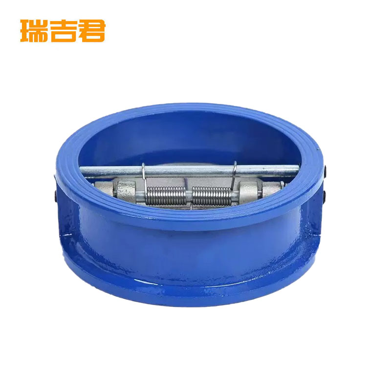 瑞吉君 对夹式止回阀 DN65 个高清大图