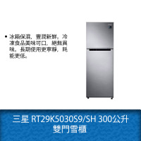 三星 RT29K5030S9/SH 300公升 雙門雪櫃
