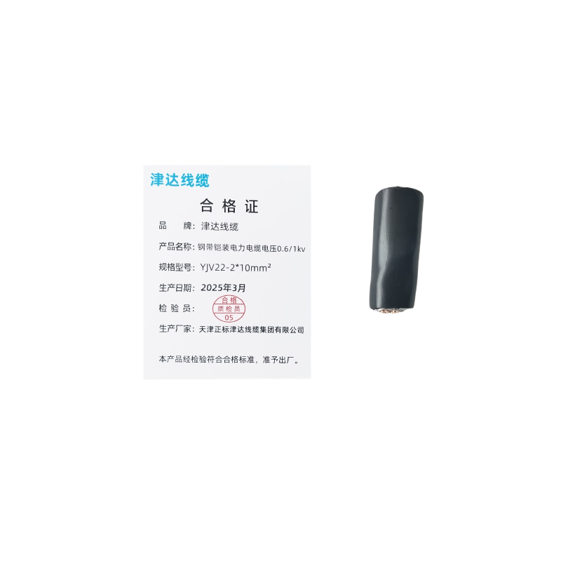 津达线缆 钢带铠装电力电缆电压0.6/1kv YJV22-2*10mm² 米高清大图