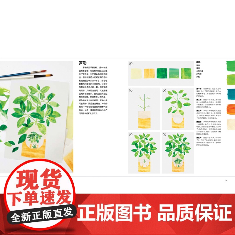 正版 创意植物拼贴画 轻松画生活 英特蕾西英格利希著 超过30个创意植物拼贴画练习 剪纸艺术 上海书画出版社高清大图