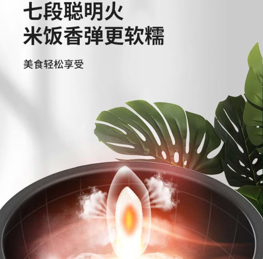 九阳 F50FZ-F561 电饭煲电饭锅 5L 香槟金高清大图