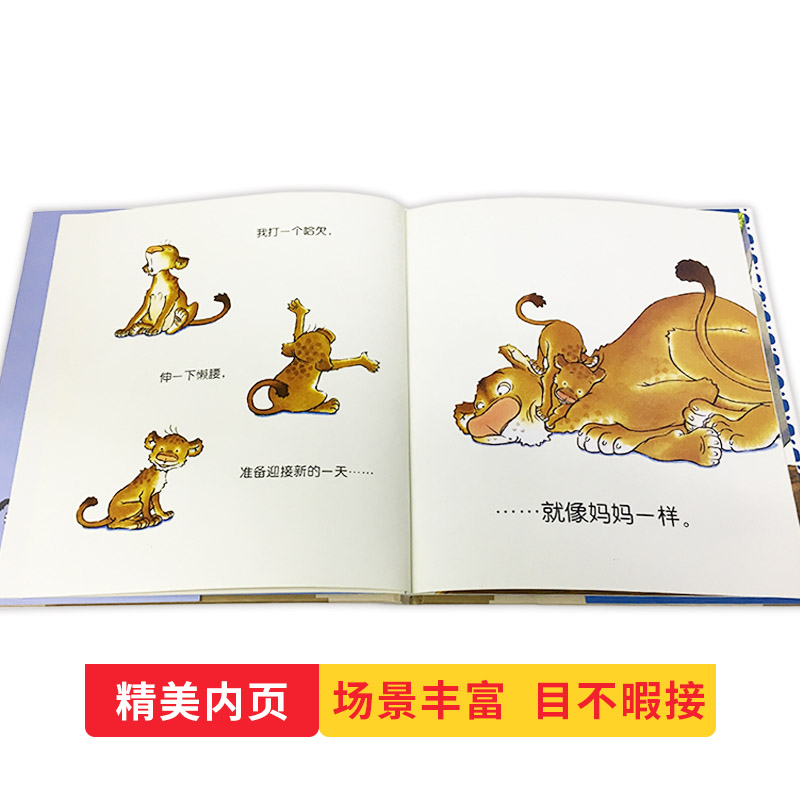 像妈妈一样 精装 [正版]像妈妈一样硬壳精装图画书海豚绘本花园适合2岁以上亲子课外阅读书籍童书高清大图