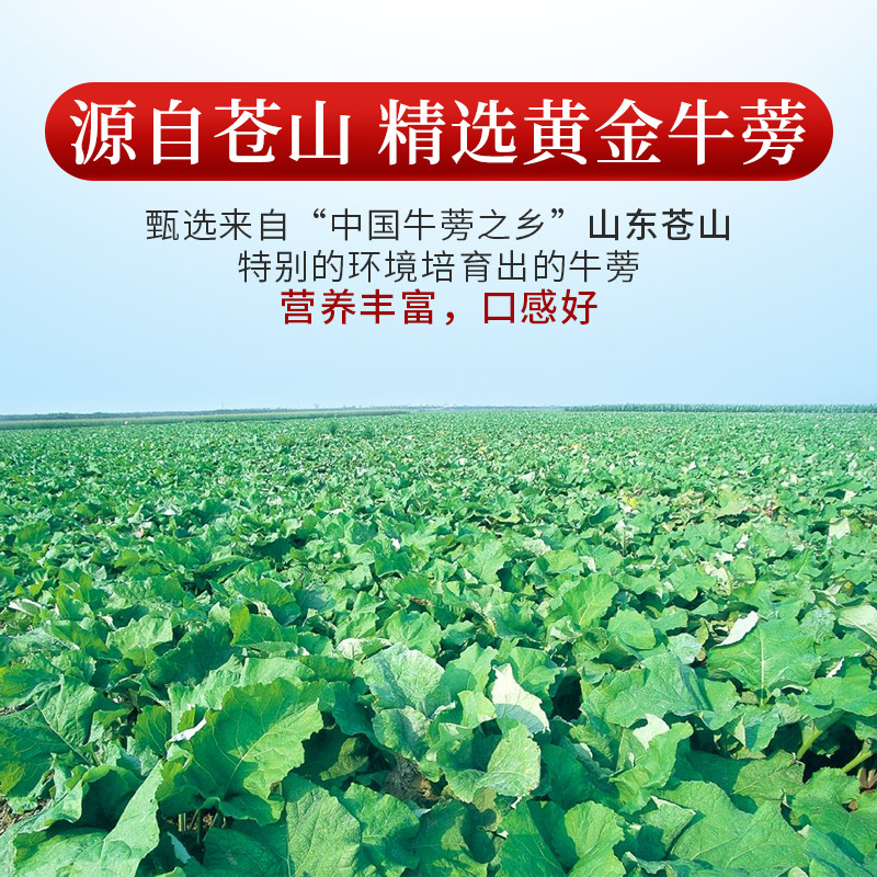 庄民黄金牛蒡茶250g/罐 牛蒡根 正品牛蒡茶 精选 养生茶 苍山礼盒单罐装高清大图