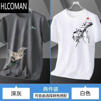 HLCOMAN冰丝男t恤宽松加大码潮流百搭夏季2024新款圆领短袖男士透气体恤