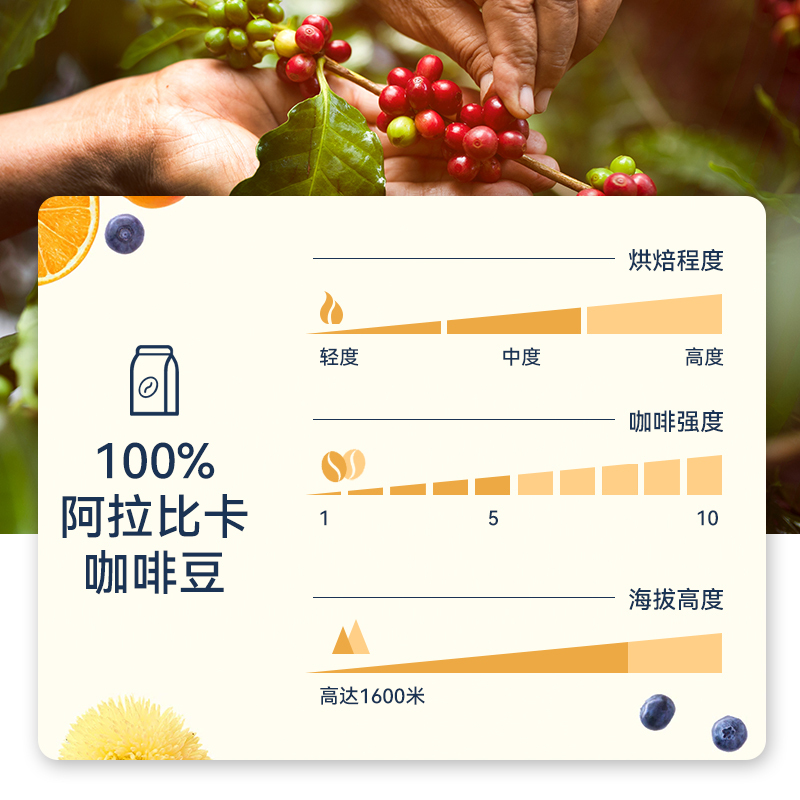 拉瓦萨咖啡豆 意大利进口欧罗金咖啡豆250g[2024.3.30-4.30到期]