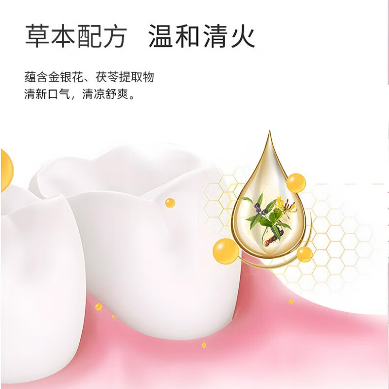 冷酸灵牙膏清火护敏120g+菌衡护敏120g抗敏感缓解 口气清新 口腔牙龈出血护理高清大图