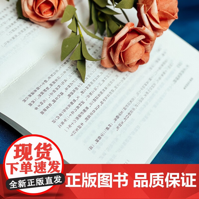 樊榭山房词校笺 厉鹗 著 文学高清大图