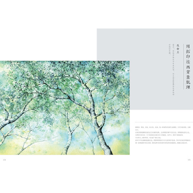 正版新书]诗意的栖居 水彩风景画特效技法手绘教程(绘客出品)高清大图