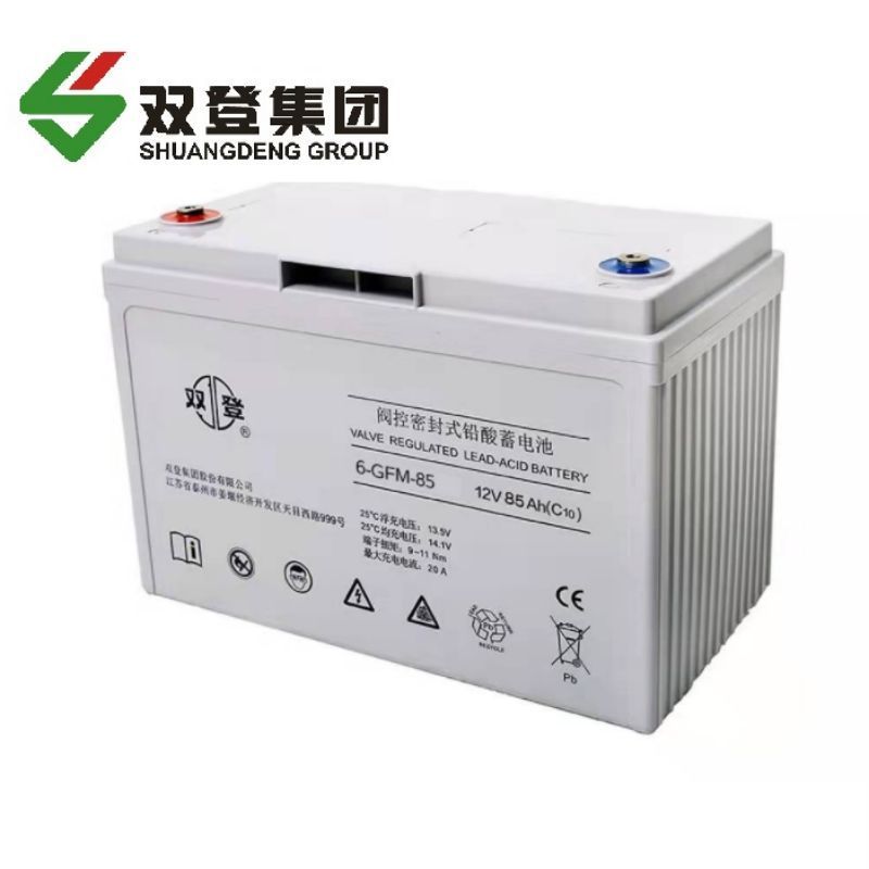 双登铅酸蓄电池6-GFM-85 含配件高清大图