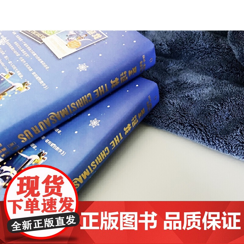 圣诞龙 汤姆·弗莱彻奇遇系列高清大图