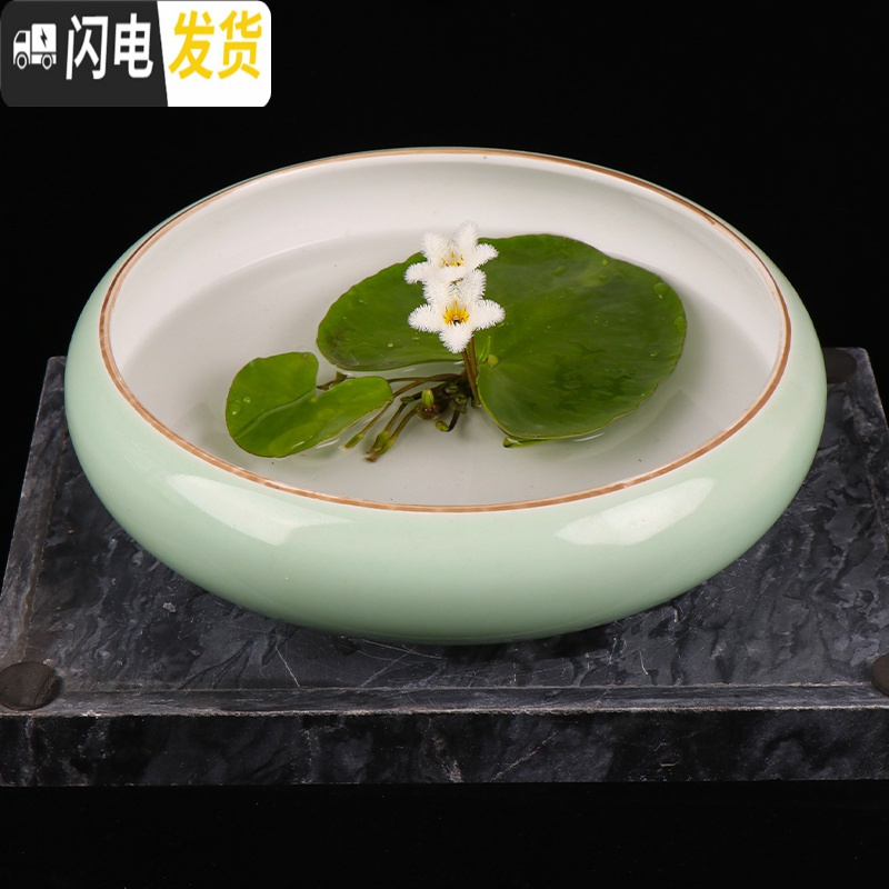 三维工匠花盆水仙花睡莲碗莲无孔金钱陶瓷水养水培多肉陶瓷塑料植物 经典款(塑料):大号8寸白色 中等花盆容器