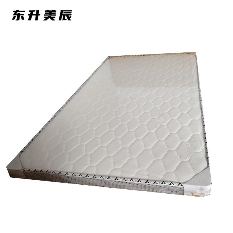 东升美辰 床垫1200*2000*100mm DS-XS409 张高清大图