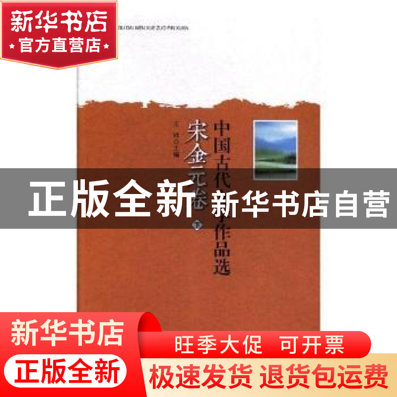 正版 中国古代文学作品选:宋金元卷 王祥主编 辽海出版社 978780高清大图
