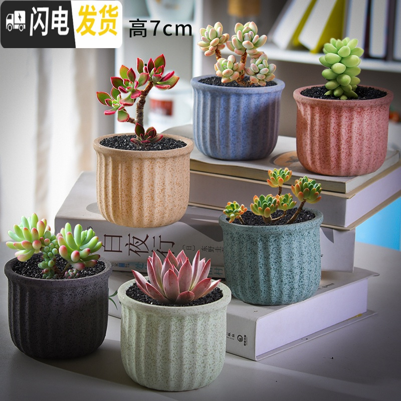 三维工匠多肉花盆套装组合创意个性简约植物盆器室内肉肉花盆批发如图款式3 中等花盆容器报价 参数 图片 视频 怎么样 问答 苏宁易购