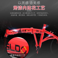 折叠自行车20寸成人变速学生款XL 裸车加工具红色 20寸变速
